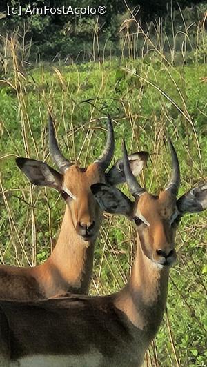 [P46] prin parcul natural » foto by robert
 - 
<span class="allrVoted glyphicon glyphicon-heart hidden" id="av1513794"></span>
<a class="m-l-10 hidden" id="sv1513794" onclick="voting_Foto_DelVot(,1513794,29216)" role="button">șterge vot <span class="glyphicon glyphicon-remove"></span></a>
<a id="v91513794" class=" c-red"  onclick="voting_Foto_SetVot(1513794)" role="button"><span class="glyphicon glyphicon-heart-empty"></span> <b>LIKE</b> = Votează poza</a> <img class="hidden"  id="f1513794W9" src="/imagini/loader.gif" border="0" /><span class="AjErrMes hidden" id="e1513794ErM"></span>