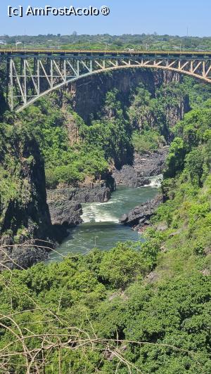 [P46]  -- <small>// FĂRĂ DESCRIERE</small> » foto by robert
 - 
<span class="allrVoted glyphicon glyphicon-heart hidden" id="av1514473"></span>
<a class="m-l-10 hidden" id="sv1514473" onclick="voting_Foto_DelVot(,1514473,29216)" role="button">șterge vot <span class="glyphicon glyphicon-remove"></span></a>
<a id="v91514473" class=" c-red"  onclick="voting_Foto_SetVot(1514473)" role="button"><span class="glyphicon glyphicon-heart-empty"></span> <b>LIKE</b> = Votează poza</a> <img class="hidden"  id="f1514473W9" src="/imagini/loader.gif" border="0" /><span class="AjErrMes hidden" id="e1514473ErM"></span>