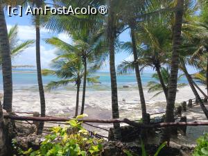 [P18] plaja » foto by nela b
 - 
<span class="allrVoted glyphicon glyphicon-heart hidden" id="av1512800"></span>
<a class="m-l-10 hidden" id="sv1512800" onclick="voting_Foto_DelVot(,1512800,29217)" role="button">șterge vot <span class="glyphicon glyphicon-remove"></span></a>
<a id="v91512800" class=" c-red"  onclick="voting_Foto_SetVot(1512800)" role="button"><span class="glyphicon glyphicon-heart-empty"></span> <b>LIKE</b> = Votează poza</a> <img class="hidden"  id="f1512800W9" src="/imagini/loader.gif" border="0" /><span class="AjErrMes hidden" id="e1512800ErM"></span>