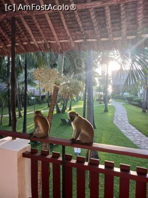 [P30] dimineata » foto by nela b
 - 
<span class="allrVoted glyphicon glyphicon-heart hidden" id="av1512812"></span>
<a class="m-l-10 hidden" id="sv1512812" onclick="voting_Foto_DelVot(,1512812,29217)" role="button">șterge vot <span class="glyphicon glyphicon-remove"></span></a>
<a id="v91512812" class=" c-red"  onclick="voting_Foto_SetVot(1512812)" role="button"><span class="glyphicon glyphicon-heart-empty"></span> <b>LIKE</b> = Votează poza</a> <img class="hidden"  id="f1512812W9" src="/imagini/loader.gif" border="0" /><span class="AjErrMes hidden" id="e1512812ErM"></span>