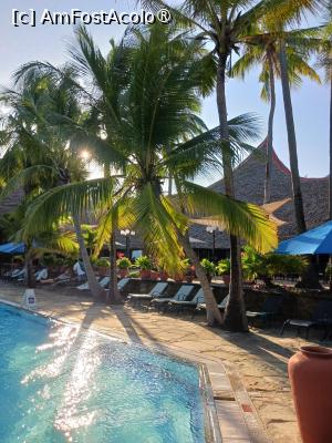 [P47]  -- <small>// FĂRĂ DESCRIERE</small> » foto by nela b
 - 
<span class="allrVoted glyphicon glyphicon-heart hidden" id="av1512829"></span>
<a class="m-l-10 hidden" id="sv1512829" onclick="voting_Foto_DelVot(,1512829,29217)" role="button">șterge vot <span class="glyphicon glyphicon-remove"></span></a>
<a id="v91512829" class=" c-red"  onclick="voting_Foto_SetVot(1512829)" role="button"><span class="glyphicon glyphicon-heart-empty"></span> <b>LIKE</b> = Votează poza</a> <img class="hidden"  id="f1512829W9" src="/imagini/loader.gif" border="0" /><span class="AjErrMes hidden" id="e1512829ErM"></span>