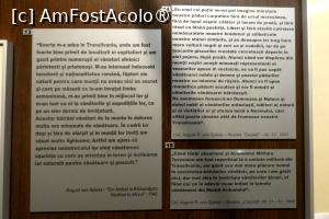 [P14] A treia sală -Povești vânătorești » foto by Claudiu U.
 - 
<span class="allrVoted glyphicon glyphicon-heart hidden" id="av1514653"></span>
<a class="m-l-10 hidden" id="sv1514653" onclick="voting_Foto_DelVot(,1514653,29226)" role="button">șterge vot <span class="glyphicon glyphicon-remove"></span></a>
<a id="v91514653" class=" c-red"  onclick="voting_Foto_SetVot(1514653)" role="button"><span class="glyphicon glyphicon-heart-empty"></span> <b>LIKE</b> = Votează poza</a> <img class="hidden"  id="f1514653W9" src="/imagini/loader.gif" border="0" /><span class="AjErrMes hidden" id="e1514653ErM"></span>