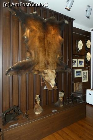 [P20] Sala nr. 4 -dedicată vânatului mare » foto by Claudiu U.
 - 
<span class="allrVoted glyphicon glyphicon-heart hidden" id="av1514659"></span>
<a class="m-l-10 hidden" id="sv1514659" onclick="voting_Foto_DelVot(,1514659,29226)" role="button">șterge vot <span class="glyphicon glyphicon-remove"></span></a>
<a id="v91514659" class=" c-red"  onclick="voting_Foto_SetVot(1514659)" role="button"><span class="glyphicon glyphicon-heart-empty"></span> <b>LIKE</b> = Votează poza</a> <img class="hidden"  id="f1514659W9" src="/imagini/loader.gif" border="0" /><span class="AjErrMes hidden" id="e1514659ErM"></span>