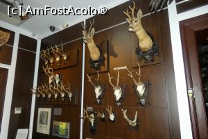 [P06] Cea de-a doua sală -trofee cornute » foto by Claudiu U.
 - 
<span class="allrVoted glyphicon glyphicon-heart hidden" id="av1514645"></span>
<a class="m-l-10 hidden" id="sv1514645" onclick="voting_Foto_DelVot(,1514645,29226)" role="button">șterge vot <span class="glyphicon glyphicon-remove"></span></a>
<a id="v91514645" class=" c-red"  onclick="voting_Foto_SetVot(1514645)" role="button"><span class="glyphicon glyphicon-heart-empty"></span> <b>LIKE</b> = Votează poza</a> <img class="hidden"  id="f1514645W9" src="/imagini/loader.gif" border="0" /><span class="AjErrMes hidden" id="e1514645ErM"></span>