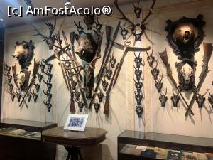 [P14] Trofee frumos aranjate » foto by AZE
 - 
<span class="allrVoted glyphicon glyphicon-heart hidden" id="av1355965"></span>
<a class="m-l-10 hidden" id="sv1355965" onclick="voting_Foto_DelVot(,1355965,29226)" role="button">șterge vot <span class="glyphicon glyphicon-remove"></span></a>
<a id="v91355965" class=" c-red"  onclick="voting_Foto_SetVot(1355965)" role="button"><span class="glyphicon glyphicon-heart-empty"></span> <b>LIKE</b> = Votează poza</a> <img class="hidden"  id="f1355965W9" src="/imagini/loader.gif" border="0" /><span class="AjErrMes hidden" id="e1355965ErM"></span>