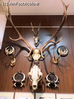 [P17] Trofee » foto by AZE
 - 
<span class="allrVoted glyphicon glyphicon-heart hidden" id="av1355968"></span>
<a class="m-l-10 hidden" id="sv1355968" onclick="voting_Foto_DelVot(,1355968,29226)" role="button">șterge vot <span class="glyphicon glyphicon-remove"></span></a>
<a id="v91355968" class=" c-red"  onclick="voting_Foto_SetVot(1355968)" role="button"><span class="glyphicon glyphicon-heart-empty"></span> <b>LIKE</b> = Votează poza</a> <img class="hidden"  id="f1355968W9" src="/imagini/loader.gif" border="0" /><span class="AjErrMes hidden" id="e1355968ErM"></span>