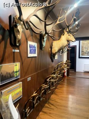 [P20] Muzeul de v&acirc;nătoare » foto by AZE
 - 
<span class="allrVoted glyphicon glyphicon-heart hidden" id="av1355971"></span>
<a class="m-l-10 hidden" id="sv1355971" onclick="voting_Foto_DelVot(,1355971,29226)" role="button">șterge vot <span class="glyphicon glyphicon-remove"></span></a>
<a id="v91355971" class=" c-red"  onclick="voting_Foto_SetVot(1355971)" role="button"><span class="glyphicon glyphicon-heart-empty"></span> <b>LIKE</b> = Votează poza</a> <img class="hidden"  id="f1355971W9" src="/imagini/loader.gif" border="0" /><span class="AjErrMes hidden" id="e1355971ErM"></span>