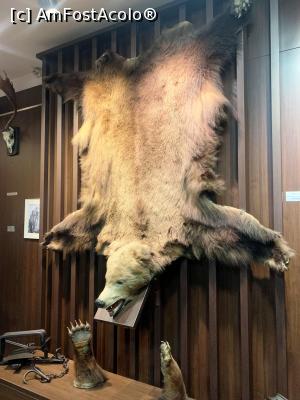 [P22] Piele de urs » foto by AZE
 - 
<span class="allrVoted glyphicon glyphicon-heart hidden" id="av1355973"></span>
<a class="m-l-10 hidden" id="sv1355973" onclick="voting_Foto_DelVot(,1355973,29226)" role="button">șterge vot <span class="glyphicon glyphicon-remove"></span></a>
<a id="v91355973" class=" c-red"  onclick="voting_Foto_SetVot(1355973)" role="button"><span class="glyphicon glyphicon-heart-empty"></span> <b>LIKE</b> = Votează poza</a> <img class="hidden"  id="f1355973W9" src="/imagini/loader.gif" border="0" /><span class="AjErrMes hidden" id="e1355973ErM"></span>