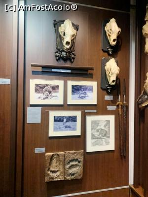 [P23] Muzeul de v&acirc;nătoare » foto by AZE
 - 
<span class="allrVoted glyphicon glyphicon-heart hidden" id="av1355974"></span>
<a class="m-l-10 hidden" id="sv1355974" onclick="voting_Foto_DelVot(,1355974,29226)" role="button">șterge vot <span class="glyphicon glyphicon-remove"></span></a>
<a id="v91355974" class=" c-red"  onclick="voting_Foto_SetVot(1355974)" role="button"><span class="glyphicon glyphicon-heart-empty"></span> <b>LIKE</b> = Votează poza</a> <img class="hidden"  id="f1355974W9" src="/imagini/loader.gif" border="0" /><span class="AjErrMes hidden" id="e1355974ErM"></span>