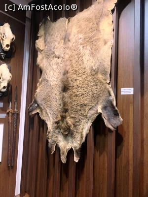 [P24] Muzeul de v&acirc;nătoare » foto by AZE
 - 
<span class="allrVoted glyphicon glyphicon-heart hidden" id="av1355975"></span>
<a class="m-l-10 hidden" id="sv1355975" onclick="voting_Foto_DelVot(,1355975,29226)" role="button">șterge vot <span class="glyphicon glyphicon-remove"></span></a>
<a id="v91355975" class=" c-red"  onclick="voting_Foto_SetVot(1355975)" role="button"><span class="glyphicon glyphicon-heart-empty"></span> <b>LIKE</b> = Votează poza</a> <img class="hidden"  id="f1355975W9" src="/imagini/loader.gif" border="0" /><span class="AjErrMes hidden" id="e1355975ErM"></span>