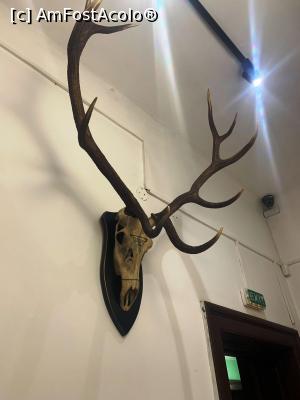 [P28] Muzeul de vănătoare » foto by AZE
 - 
<span class="allrVoted glyphicon glyphicon-heart hidden" id="av1355979"></span>
<a class="m-l-10 hidden" id="sv1355979" onclick="voting_Foto_DelVot(,1355979,29226)" role="button">șterge vot <span class="glyphicon glyphicon-remove"></span></a>
<a id="v91355979" class=" c-red"  onclick="voting_Foto_SetVot(1355979)" role="button"><span class="glyphicon glyphicon-heart-empty"></span> <b>LIKE</b> = Votează poza</a> <img class="hidden"  id="f1355979W9" src="/imagini/loader.gif" border="0" /><span class="AjErrMes hidden" id="e1355979ErM"></span>