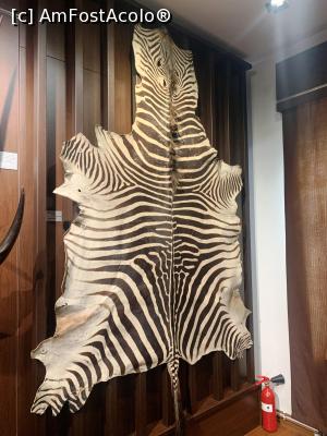 [P35] Piele de zebră » foto by AZE
 - 
<span class="allrVoted glyphicon glyphicon-heart hidden" id="av1355986"></span>
<a class="m-l-10 hidden" id="sv1355986" onclick="voting_Foto_DelVot(,1355986,29226)" role="button">șterge vot <span class="glyphicon glyphicon-remove"></span></a>
<a id="v91355986" class=" c-red"  onclick="voting_Foto_SetVot(1355986)" role="button"><span class="glyphicon glyphicon-heart-empty"></span> <b>LIKE</b> = Votează poza</a> <img class="hidden"  id="f1355986W9" src="/imagini/loader.gif" border="0" /><span class="AjErrMes hidden" id="e1355986ErM"></span>