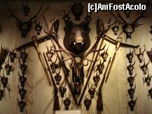 [P17] Sibiu - Muzeul de vanatoare » foto by Diaura*
 - 
<span class="allrVoted glyphicon glyphicon-heart hidden" id="av283955"></span>
<a class="m-l-10 hidden" id="sv283955" onclick="voting_Foto_DelVot(,283955,29226)" role="button">șterge vot <span class="glyphicon glyphicon-remove"></span></a>
<a id="v9283955" class=" c-red"  onclick="voting_Foto_SetVot(283955)" role="button"><span class="glyphicon glyphicon-heart-empty"></span> <b>LIKE</b> = Votează poza</a> <img class="hidden"  id="f283955W9" src="/imagini/loader.gif" border="0" /><span class="AjErrMes hidden" id="e283955ErM"></span>