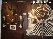 [P24] Sibiu - Muzeul de vanatoare - colonelul August von Spiess » foto by Diaura*
 - 
<span class="allrVoted glyphicon glyphicon-heart hidden" id="av283962"></span>
<a class="m-l-10 hidden" id="sv283962" onclick="voting_Foto_DelVot(,283962,29226)" role="button">șterge vot <span class="glyphicon glyphicon-remove"></span></a>
<a id="v9283962" class=" c-red"  onclick="voting_Foto_SetVot(283962)" role="button"><span class="glyphicon glyphicon-heart-empty"></span> <b>LIKE</b> = Votează poza</a> <img class="hidden"  id="f283962W9" src="/imagini/loader.gif" border="0" /><span class="AjErrMes hidden" id="e283962ErM"></span>