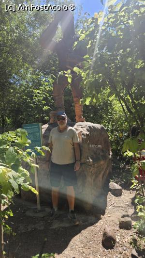 [P03] statuia lui Livingstone » foto by robert
 - 
<span class="allrVoted glyphicon glyphicon-heart hidden" id="av1513751"></span>
<a class="m-l-10 hidden" id="sv1513751" onclick="voting_Foto_DelVot(,1513751,29229)" role="button">șterge vot <span class="glyphicon glyphicon-remove"></span></a>
<a id="v91513751" class=" c-red"  onclick="voting_Foto_SetVot(1513751)" role="button"><span class="glyphicon glyphicon-heart-empty"></span> <b>LIKE</b> = Votează poza</a> <img class="hidden"  id="f1513751W9" src="/imagini/loader.gif" border="0" /><span class="AjErrMes hidden" id="e1513751ErM"></span>