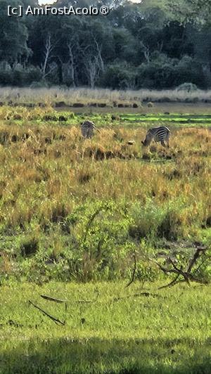 [P32] prin parcul natural » foto by robert
 - 
<span class="allrVoted glyphicon glyphicon-heart hidden" id="av1513780"></span>
<a class="m-l-10 hidden" id="sv1513780" onclick="voting_Foto_DelVot(,1513780,29229)" role="button">șterge vot <span class="glyphicon glyphicon-remove"></span></a>
<a id="v91513780" class=" c-red"  onclick="voting_Foto_SetVot(1513780)" role="button"><span class="glyphicon glyphicon-heart-empty"></span> <b>LIKE</b> = Votează poza</a> <img class="hidden"  id="f1513780W9" src="/imagini/loader.gif" border="0" /><span class="AjErrMes hidden" id="e1513780ErM"></span>