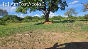 [P34] prin parcul natural » foto by robert
 - 
<span class="allrVoted glyphicon glyphicon-heart hidden" id="av1513782"></span>
<a class="m-l-10 hidden" id="sv1513782" onclick="voting_Foto_DelVot(,1513782,29229)" role="button">șterge vot <span class="glyphicon glyphicon-remove"></span></a>
<a id="v91513782" class=" c-red"  onclick="voting_Foto_SetVot(1513782)" role="button"><span class="glyphicon glyphicon-heart-empty"></span> <b>LIKE</b> = Votează poza</a> <img class="hidden"  id="f1513782W9" src="/imagini/loader.gif" border="0" /><span class="AjErrMes hidden" id="e1513782ErM"></span>