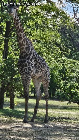 [P41] prin parcul natural » foto by robert
 - 
<span class="allrVoted glyphicon glyphicon-heart hidden" id="av1513789"></span>
<a class="m-l-10 hidden" id="sv1513789" onclick="voting_Foto_DelVot(,1513789,29229)" role="button">șterge vot <span class="glyphicon glyphicon-remove"></span></a>
<a id="v91513789" class=" c-red"  onclick="voting_Foto_SetVot(1513789)" role="button"><span class="glyphicon glyphicon-heart-empty"></span> <b>LIKE</b> = Votează poza</a> <img class="hidden"  id="f1513789W9" src="/imagini/loader.gif" border="0" /><span class="AjErrMes hidden" id="e1513789ErM"></span>