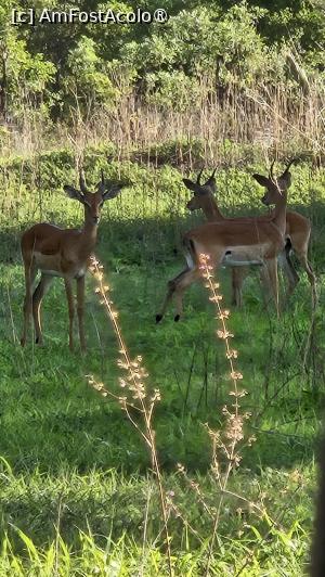 [P43] prin parcul natural » foto by robert
 - 
<span class="allrVoted glyphicon glyphicon-heart hidden" id="av1513791"></span>
<a class="m-l-10 hidden" id="sv1513791" onclick="voting_Foto_DelVot(,1513791,29229)" role="button">șterge vot <span class="glyphicon glyphicon-remove"></span></a>
<a id="v91513791" class=" c-red"  onclick="voting_Foto_SetVot(1513791)" role="button"><span class="glyphicon glyphicon-heart-empty"></span> <b>LIKE</b> = Votează poza</a> <img class="hidden"  id="f1513791W9" src="/imagini/loader.gif" border="0" /><span class="AjErrMes hidden" id="e1513791ErM"></span>