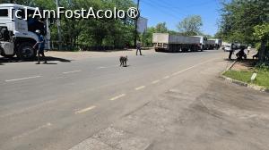 [P01] no man s land » foto by robert
 - 
<span class="allrVoted glyphicon glyphicon-heart hidden" id="av1514428"></span>
<a class="m-l-10 hidden" id="sv1514428" onclick="voting_Foto_DelVot(,1514428,29230)" role="button">șterge vot <span class="glyphicon glyphicon-remove"></span></a>
<a id="v91514428" class=" c-red"  onclick="voting_Foto_SetVot(1514428)" role="button"><span class="glyphicon glyphicon-heart-empty"></span> <b>LIKE</b> = Votează poza</a> <img class="hidden"  id="f1514428W9" src="/imagini/loader.gif" border="0" /><span class="AjErrMes hidden" id="e1514428ErM"></span>