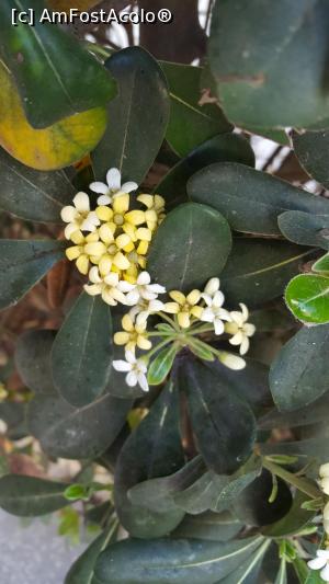 [P19] La revedere, Cavaleri!  » foto by adrianaglogo
 - 
<span class="allrVoted glyphicon glyphicon-heart hidden" id="av972967"></span>
<a class="m-l-10 hidden" id="sv972967" onclick="voting_Foto_DelVot(,972967,29231)" role="button">șterge vot <span class="glyphicon glyphicon-remove"></span></a>
<a id="v9972967" class=" c-red"  onclick="voting_Foto_SetVot(972967)" role="button"><span class="glyphicon glyphicon-heart-empty"></span> <b>LIKE</b> = Votează poza</a> <img class="hidden"  id="f972967W9" src="/imagini/loader.gif" border="0" /><span class="AjErrMes hidden" id="e972967ErM"></span>