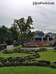 [P06]  -- <small>// FĂRĂ DESCRIERE</small> » foto by irma_ro*
 - 
<span class="allrVoted glyphicon glyphicon-heart hidden" id="av173063"></span>
<a class="m-l-10 hidden" id="sv173063" onclick="voting_Foto_DelVot(,173063,29235)" role="button">șterge vot <span class="glyphicon glyphicon-remove"></span></a>
<a id="v9173063" class=" c-red"  onclick="voting_Foto_SetVot(173063)" role="button"><span class="glyphicon glyphicon-heart-empty"></span> <b>LIKE</b> = Votează poza</a> <img class="hidden"  id="f173063W9" src="/imagini/loader.gif" border="0" /><span class="AjErrMes hidden" id="e173063ErM"></span>