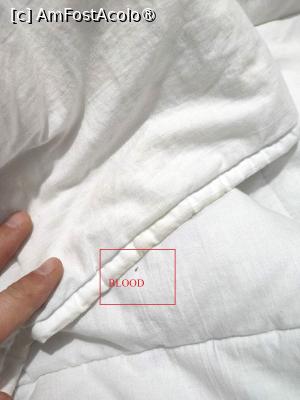 [P14] Lenjerie de pat cu sange uscat » foto by Om bun
 - 
<span class="allrVoted glyphicon glyphicon-heart hidden" id="av1516739"></span>
<a class="m-l-10 hidden" id="sv1516739" onclick="voting_Foto_DelVot(,1516739,29241)" role="button">șterge vot <span class="glyphicon glyphicon-remove"></span></a>
<a id="v91516739" class=" c-red"  onclick="voting_Foto_SetVot(1516739)" role="button"><span class="glyphicon glyphicon-heart-empty"></span> <b>LIKE</b> = Votează poza</a> <img class="hidden"  id="f1516739W9" src="/imagini/loader.gif" border="0" /><span class="AjErrMes hidden" id="e1516739ErM"></span>