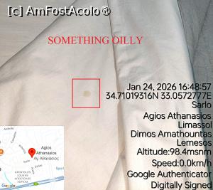 [P05] Pata cu miros de pizza. Iammi » foto by Om bun
 - 
<span class="allrVoted glyphicon glyphicon-heart hidden" id="av1516730"></span>
<a class="m-l-10 hidden" id="sv1516730" onclick="voting_Foto_DelVot(,1516730,29241)" role="button">șterge vot <span class="glyphicon glyphicon-remove"></span></a>
<a id="v91516730" class=" c-red"  onclick="voting_Foto_SetVot(1516730)" role="button"><span class="glyphicon glyphicon-heart-empty"></span> <b>LIKE</b> = Votează poza</a> <img class="hidden"  id="f1516730W9" src="/imagini/loader.gif" border="0" /><span class="AjErrMes hidden" id="e1516730ErM"></span>