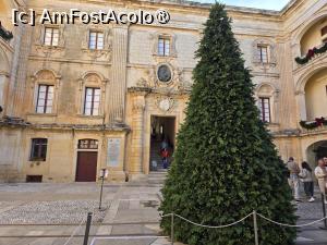 [P17]  -- <small>// FĂRĂ DESCRIERE</small> » foto by Mirinda
 - 
<span class="allrVoted glyphicon glyphicon-heart hidden" id="av1518189"></span>
<a class="m-l-10 hidden" id="sv1518189" onclick="voting_Foto_DelVot(,1518189,29252)" role="button">șterge vot <span class="glyphicon glyphicon-remove"></span></a>
<a id="v91518189" class=" c-red"  onclick="voting_Foto_SetVot(1518189)" role="button"><span class="glyphicon glyphicon-heart-empty"></span> <b>LIKE</b> = Votează poza</a> <img class="hidden"  id="f1518189W9" src="/imagini/loader.gif" border="0" /><span class="AjErrMes hidden" id="e1518189ErM"></span>