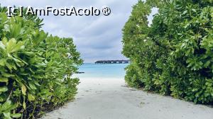 [P28] vila noastra » foto by elenaadina
 - 
<span class="allrVoted glyphicon glyphicon-heart hidden" id="av1518331"></span>
<a class="m-l-10 hidden" id="sv1518331" onclick="voting_Foto_DelVot(,1518331,29256)" role="button">șterge vot <span class="glyphicon glyphicon-remove"></span></a>
<a id="v91518331" class=" c-red"  onclick="voting_Foto_SetVot(1518331)" role="button"><span class="glyphicon glyphicon-heart-empty"></span> <b>LIKE</b> = Votează poza</a> <img class="hidden"  id="f1518331W9" src="/imagini/loader.gif" border="0" /><span class="AjErrMes hidden" id="e1518331ErM"></span>