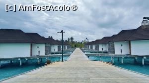 [P42]  -- <small>// FĂRĂ DESCRIERE</small> » foto by elenaadina
 - 
<span class="allrVoted glyphicon glyphicon-heart hidden" id="av1518345"></span>
<a class="m-l-10 hidden" id="sv1518345" onclick="voting_Foto_DelVot(,1518345,29256)" role="button">șterge vot <span class="glyphicon glyphicon-remove"></span></a>
<a id="v91518345" class=" c-red"  onclick="voting_Foto_SetVot(1518345)" role="button"><span class="glyphicon glyphicon-heart-empty"></span> <b>LIKE</b> = Votează poza</a> <img class="hidden"  id="f1518345W9" src="/imagini/loader.gif" border="0" /><span class="AjErrMes hidden" id="e1518345ErM"></span>