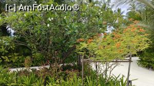 [P67]  -- <small>// FĂRĂ DESCRIERE</small> » foto by elenaadina
 - 
<span class="allrVoted glyphicon glyphicon-heart hidden" id="av1518370"></span>
<a class="m-l-10 hidden" id="sv1518370" onclick="voting_Foto_DelVot(,1518370,29256)" role="button">șterge vot <span class="glyphicon glyphicon-remove"></span></a>
<a id="v91518370" class=" c-red"  onclick="voting_Foto_SetVot(1518370)" role="button"><span class="glyphicon glyphicon-heart-empty"></span> <b>LIKE</b> = Votează poza</a> <img class="hidden"  id="f1518370W9" src="/imagini/loader.gif" border="0" /><span class="AjErrMes hidden" id="e1518370ErM"></span>