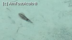 [P68]  -- <small>// FĂRĂ DESCRIERE</small> » foto by elenaadina
 - 
<span class="allrVoted glyphicon glyphicon-heart hidden" id="av1518371"></span>
<a class="m-l-10 hidden" id="sv1518371" onclick="voting_Foto_DelVot(,1518371,29256)" role="button">șterge vot <span class="glyphicon glyphicon-remove"></span></a>
<a id="v91518371" class=" c-red"  onclick="voting_Foto_SetVot(1518371)" role="button"><span class="glyphicon glyphicon-heart-empty"></span> <b>LIKE</b> = Votează poza</a> <img class="hidden"  id="f1518371W9" src="/imagini/loader.gif" border="0" /><span class="AjErrMes hidden" id="e1518371ErM"></span>