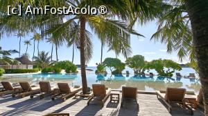 [P77]  -- <small>// FĂRĂ DESCRIERE</small> » foto by elenaadina
 - 
<span class="allrVoted glyphicon glyphicon-heart hidden" id="av1518380"></span>
<a class="m-l-10 hidden" id="sv1518380" onclick="voting_Foto_DelVot(,1518380,29256)" role="button">șterge vot <span class="glyphicon glyphicon-remove"></span></a>
<a id="v91518380" class=" c-red"  onclick="voting_Foto_SetVot(1518380)" role="button"><span class="glyphicon glyphicon-heart-empty"></span> <b>LIKE</b> = Votează poza</a> <img class="hidden"  id="f1518380W9" src="/imagini/loader.gif" border="0" /><span class="AjErrMes hidden" id="e1518380ErM"></span>