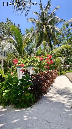 [P78]  -- <small>// FĂRĂ DESCRIERE</small> » foto by elenaadina
 - 
<span class="allrVoted glyphicon glyphicon-heart hidden" id="av1518381"></span>
<a class="m-l-10 hidden" id="sv1518381" onclick="voting_Foto_DelVot(,1518381,29256)" role="button">șterge vot <span class="glyphicon glyphicon-remove"></span></a>
<a id="v91518381" class=" c-red"  onclick="voting_Foto_SetVot(1518381)" role="button"><span class="glyphicon glyphicon-heart-empty"></span> <b>LIKE</b> = Votează poza</a> <img class="hidden"  id="f1518381W9" src="/imagini/loader.gif" border="0" /><span class="AjErrMes hidden" id="e1518381ErM"></span>