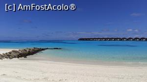 [P80]  -- <small>// FĂRĂ DESCRIERE</small> » foto by elenaadina
 - 
<span class="allrVoted glyphicon glyphicon-heart hidden" id="av1518383"></span>
<a class="m-l-10 hidden" id="sv1518383" onclick="voting_Foto_DelVot(,1518383,29256)" role="button">șterge vot <span class="glyphicon glyphicon-remove"></span></a>
<a id="v91518383" class=" c-red"  onclick="voting_Foto_SetVot(1518383)" role="button"><span class="glyphicon glyphicon-heart-empty"></span> <b>LIKE</b> = Votează poza</a> <img class="hidden"  id="f1518383W9" src="/imagini/loader.gif" border="0" /><span class="AjErrMes hidden" id="e1518383ErM"></span>