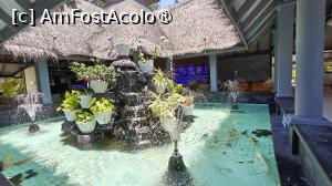 [P81]  -- <small>// FĂRĂ DESCRIERE</small> » foto by elenaadina
 - 
<span class="allrVoted glyphicon glyphicon-heart hidden" id="av1518384"></span>
<a class="m-l-10 hidden" id="sv1518384" onclick="voting_Foto_DelVot(,1518384,29256)" role="button">șterge vot <span class="glyphicon glyphicon-remove"></span></a>
<a id="v91518384" class=" c-red"  onclick="voting_Foto_SetVot(1518384)" role="button"><span class="glyphicon glyphicon-heart-empty"></span> <b>LIKE</b> = Votează poza</a> <img class="hidden"  id="f1518384W9" src="/imagini/loader.gif" border="0" /><span class="AjErrMes hidden" id="e1518384ErM"></span>