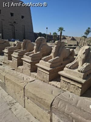 [P08]  -- <small>// FĂRĂ DESCRIERE</small> » foto by Turist2023
 - 
<span class="allrVoted glyphicon glyphicon-heart hidden" id="av1537835"></span>
<a class="m-l-10 hidden" id="sv1537835" onclick="voting_Foto_DelVot(,1537835,29264)" role="button">șterge vot <span class="glyphicon glyphicon-remove"></span></a>
<a id="v91537835" class=" c-red"  onclick="voting_Foto_SetVot(1537835)" role="button"><span class="glyphicon glyphicon-heart-empty"></span> <b>LIKE</b> = Votează poza</a> <img class="hidden"  id="f1537835W9" src="/imagini/loader.gif" border="0" /><span class="AjErrMes hidden" id="e1537835ErM"></span>