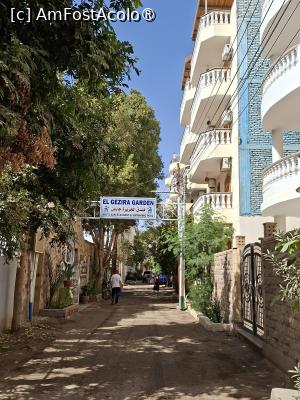 [P33] Luxor, Egipt, El Gezira Garden Hotel de pe West Bank » foto by mprofeanu
 - 
<span class="allrVoted glyphicon glyphicon-heart hidden" id="av1520630"></span>
<a class="m-l-10 hidden" id="sv1520630" onclick="voting_Foto_DelVot(,1520630,29277)" role="button">șterge vot <span class="glyphicon glyphicon-remove"></span></a>
<a id="v91520630" class=" c-red"  onclick="voting_Foto_SetVot(1520630)" role="button"><span class="glyphicon glyphicon-heart-empty"></span> <b>LIKE</b> = Votează poza</a> <img class="hidden"  id="f1520630W9" src="/imagini/loader.gif" border="0" /><span class="AjErrMes hidden" id="e1520630ErM"></span>