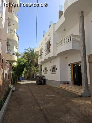 [P35] Luxor, Egipt, Plimbare pe West Bank » foto by mprofeanu
 - 
<span class="allrVoted glyphicon glyphicon-heart hidden" id="av1520632"></span>
<a class="m-l-10 hidden" id="sv1520632" onclick="voting_Foto_DelVot(,1520632,29277)" role="button">șterge vot <span class="glyphicon glyphicon-remove"></span></a>
<a id="v91520632" class=" c-red"  onclick="voting_Foto_SetVot(1520632)" role="button"><span class="glyphicon glyphicon-heart-empty"></span> <b>LIKE</b> = Votează poza</a> <img class="hidden"  id="f1520632W9" src="/imagini/loader.gif" border="0" /><span class="AjErrMes hidden" id="e1520632ErM"></span>