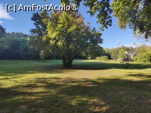 [P20] Domeniul exterior » foto by crismis
 - 
<span class="allrVoted glyphicon glyphicon-heart hidden" id="av1522448"></span>
<a class="m-l-10 hidden" id="sv1522448" onclick="voting_Foto_DelVot(,1522448,29284)" role="button">șterge vot <span class="glyphicon glyphicon-remove"></span></a>
<a id="v91522448" class=" c-red"  onclick="voting_Foto_SetVot(1522448)" role="button"><span class="glyphicon glyphicon-heart-empty"></span> <b>LIKE</b> = Votează poza</a> <img class="hidden"  id="f1522448W9" src="/imagini/loader.gif" border="0" /><span class="AjErrMes hidden" id="e1522448ErM"></span>