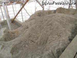 [P20]  -- <small>// FĂRĂ DESCRIERE</small> » foto by dmb_ro
 - 
<span class="allrVoted glyphicon glyphicon-heart hidden" id="av481278"></span>
<a class="m-l-10 hidden" id="sv481278" onclick="voting_Foto_DelVot(,481278,29294)" role="button">șterge vot <span class="glyphicon glyphicon-remove"></span></a>
<a id="v9481278" class=" c-red"  onclick="voting_Foto_SetVot(481278)" role="button"><span class="glyphicon glyphicon-heart-empty"></span> <b>LIKE</b> = Votează poza</a> <img class="hidden"  id="f481278W9" src="/imagini/loader.gif" border="0" /><span class="AjErrMes hidden" id="e481278ErM"></span>