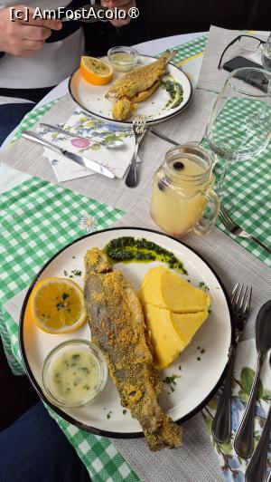 [P14] Gasthof Tirol- păstrăv prăjit cu mujdei și mămăligă » foto by ANILU
 - 
<span class="allrVoted glyphicon glyphicon-heart hidden" id="av1524970"></span>
<a class="m-l-10 hidden" id="sv1524970" onclick="voting_Foto_DelVot(,1524970,29297)" role="button">șterge vot <span class="glyphicon glyphicon-remove"></span></a>
<a id="v91524970" class=" c-red"  onclick="voting_Foto_SetVot(1524970)" role="button"><span class="glyphicon glyphicon-heart-empty"></span> <b>LIKE</b> = Votează poza</a> <img class="hidden"  id="f1524970W9" src="/imagini/loader.gif" border="0" /><span class="AjErrMes hidden" id="e1524970ErM"></span>