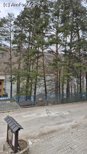 [P17] Gasthof Tirol- vedere de pe terasă spre lac » foto by ANILU
 - 
<span class="allrVoted glyphicon glyphicon-heart hidden" id="av1524973"></span>
<a class="m-l-10 hidden" id="sv1524973" onclick="voting_Foto_DelVot(,1524973,29297)" role="button">șterge vot <span class="glyphicon glyphicon-remove"></span></a>
<a id="v91524973" class=" c-red"  onclick="voting_Foto_SetVot(1524973)" role="button"><span class="glyphicon glyphicon-heart-empty"></span> <b>LIKE</b> = Votează poza</a> <img class="hidden"  id="f1524973W9" src="/imagini/loader.gif" border="0" /><span class="AjErrMes hidden" id="e1524973ErM"></span>