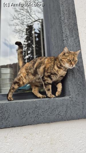 [P24]  -- <small>// FĂRĂ DESCRIERE</small> » foto by ANILU
 - 
<span class="allrVoted glyphicon glyphicon-heart hidden" id="av1524980"></span>
<a class="m-l-10 hidden" id="sv1524980" onclick="voting_Foto_DelVot(,1524980,29297)" role="button">șterge vot <span class="glyphicon glyphicon-remove"></span></a>
<a id="v91524980" class=" c-red"  onclick="voting_Foto_SetVot(1524980)" role="button"><span class="glyphicon glyphicon-heart-empty"></span> <b>LIKE</b> = Votează poza</a> <img class="hidden"  id="f1524980W9" src="/imagini/loader.gif" border="0" /><span class="AjErrMes hidden" id="e1524980ErM"></span>