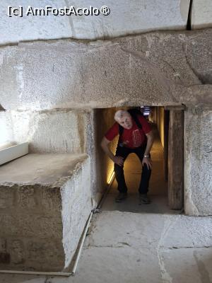 [P38] Necropola Saqqara, Mastaba lui Mereruka, Mergem și drept dar tot aplecați... » foto by mprofeanu
 - 
<span class="allrVoted glyphicon glyphicon-heart hidden" id="av1525361"></span>
<a class="m-l-10 hidden" id="sv1525361" onclick="voting_Foto_DelVot(,1525361,29302)" role="button">șterge vot <span class="glyphicon glyphicon-remove"></span></a>
<a id="v91525361" class=" c-red"  onclick="voting_Foto_SetVot(1525361)" role="button"><span class="glyphicon glyphicon-heart-empty"></span> <b>LIKE</b> = Votează poza</a> <img class="hidden"  id="f1525361W9" src="/imagini/loader.gif" border="0" /><span class="AjErrMes hidden" id="e1525361ErM"></span>