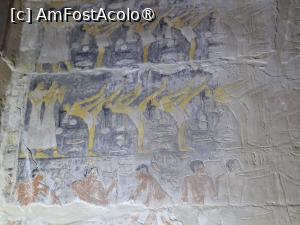 [P77] Necropola Saqqara, Mormântul lui Mehu, scene în mișcare, dansatori » foto by mprofeanu
 - 
<span class="allrVoted glyphicon glyphicon-heart hidden" id="av1525400"></span>
<a class="m-l-10 hidden" id="sv1525400" onclick="voting_Foto_DelVot(,1525400,29302)" role="button">șterge vot <span class="glyphicon glyphicon-remove"></span></a>
<a id="v91525400" class=" c-red"  onclick="voting_Foto_SetVot(1525400)" role="button"><span class="glyphicon glyphicon-heart-empty"></span> <b>LIKE</b> = Votează poza</a> <img class="hidden"  id="f1525400W9" src="/imagini/loader.gif" border="0" /><span class="AjErrMes hidden" id="e1525400ErM"></span>