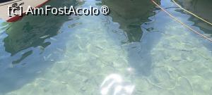 [P13] În apa din port mișunau pești... » foto by tata123 🔱
 - 
<span class="allrVoted glyphicon glyphicon-heart hidden" id="av1527310"></span>
<a class="m-l-10 hidden" id="sv1527310" onclick="voting_Foto_DelVot(,1527310,29318)" role="button">șterge vot <span class="glyphicon glyphicon-remove"></span></a>
<a id="v91527310" class=" c-red"  onclick="voting_Foto_SetVot(1527310)" role="button"><span class="glyphicon glyphicon-heart-empty"></span> <b>LIKE</b> = Votează poza</a> <img class="hidden"  id="f1527310W9" src="/imagini/loader.gif" border="0" /><span class="AjErrMes hidden" id="e1527310ErM"></span>
