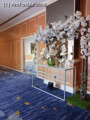 [P19] Prin sala de ceremonii » foto by nela b
 - 
<span class="allrVoted glyphicon glyphicon-heart hidden" id="av1528902"></span>
<a class="m-l-10 hidden" id="sv1528902" onclick="voting_Foto_DelVot(,1528902,29329)" role="button">șterge vot <span class="glyphicon glyphicon-remove"></span></a>
<a id="v91528902" class=" c-red"  onclick="voting_Foto_SetVot(1528902)" role="button"><span class="glyphicon glyphicon-heart-empty"></span> <b>LIKE</b> = Votează poza</a> <img class="hidden"  id="f1528902W9" src="/imagini/loader.gif" border="0" /><span class="AjErrMes hidden" id="e1528902ErM"></span>