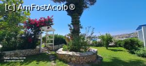 [P08] Hotel Panorama, deor în grădină » foto by irinad
 - 
<span class="allrVoted glyphicon glyphicon-heart hidden" id="av1528953"></span>
<a class="m-l-10 hidden" id="sv1528953" onclick="voting_Foto_DelVot(,1528953,29330)" role="button">șterge vot <span class="glyphicon glyphicon-remove"></span></a>
<a id="v91528953" class=" c-red"  onclick="voting_Foto_SetVot(1528953)" role="button"><span class="glyphicon glyphicon-heart-empty"></span> <b>LIKE</b> = Votează poza</a> <img class="hidden"  id="f1528953W9" src="/imagini/loader.gif" border="0" /><span class="AjErrMes hidden" id="e1528953ErM"></span>